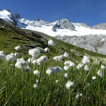 Апартаменты Alpenheim