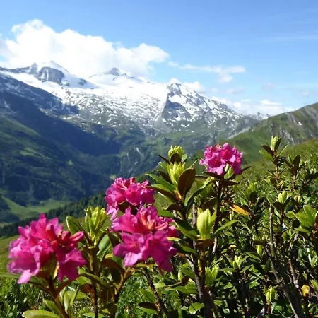 Апартаменты Alpenheim